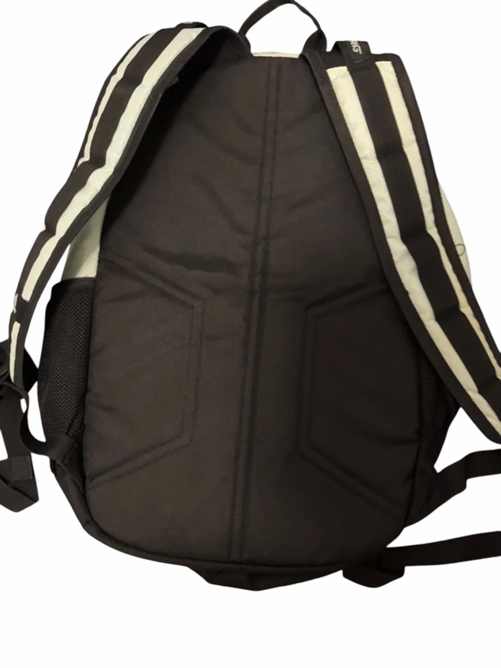adidas Mint and Black Everyday Backpack